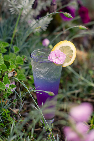 Wildflower006