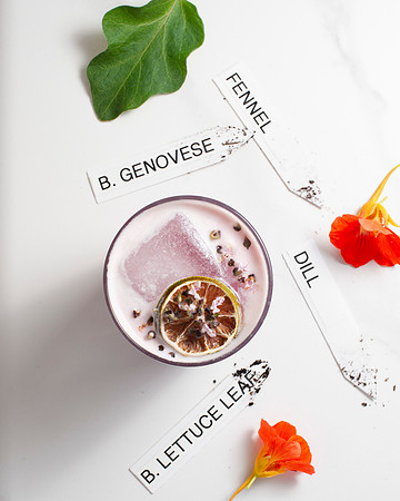 BrunchMenu_028_HighRes