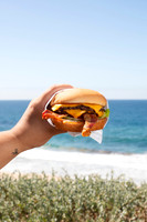 BaconCoveDeluxe013
