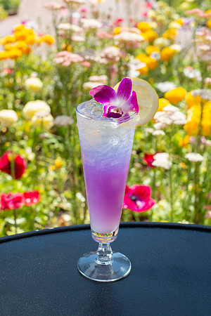 Wildflower011