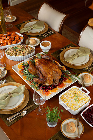 Thanksgiving_096_BACKUPS