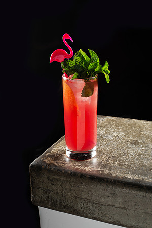 FlamingoFloat001