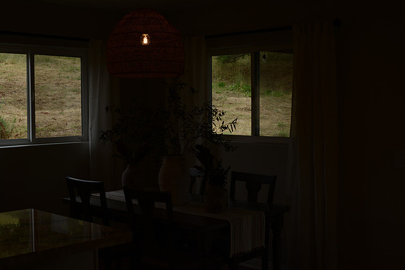 EJD_0339