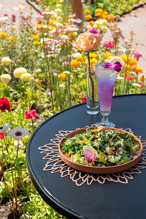 FieldCornSalad003