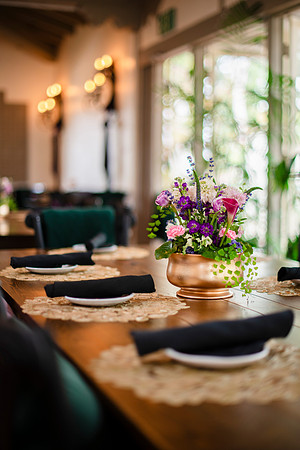 608DahliaLifestyleSpring007_HighRes