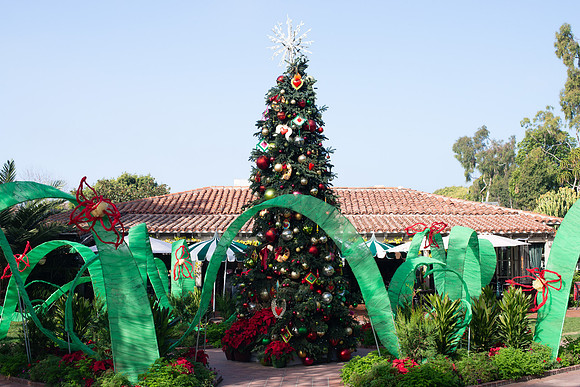Christmas002_WebRes