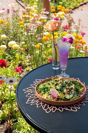 WebRes_FieldCornSalad003
