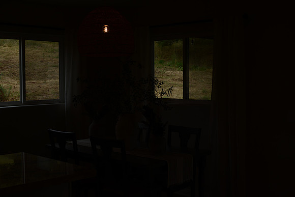 EJD_0338