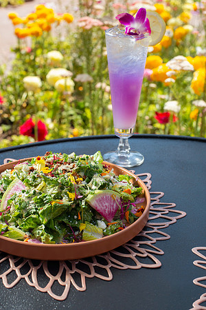 WebRes_FieldCornSalad005