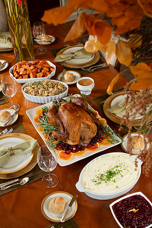 Thanksgiving_100_BACKUPS