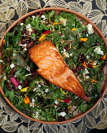HarvestSalad014