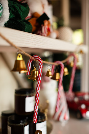 Christmas039_WebRes