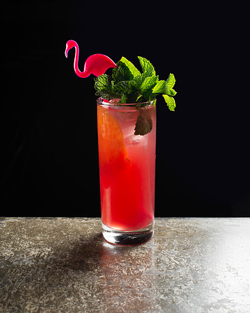 FlamingoFloat002