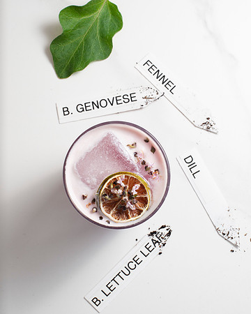 BrunchMenu_027_HighRes