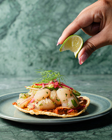 TostadaDeCallo010