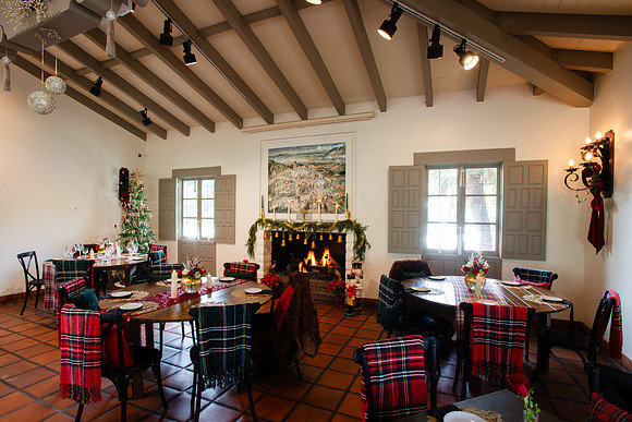 Christmas013_WebRes