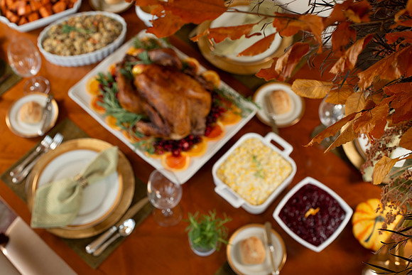Thanksgiving_098_BACKUPS