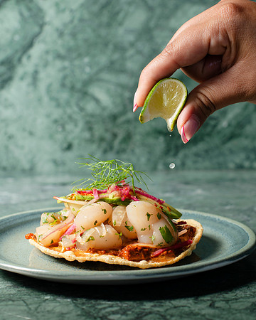 TostadaDeCallo011