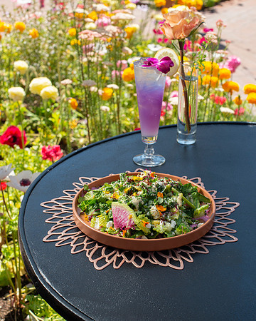 WebRes_FieldCornSalad002