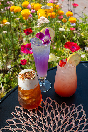 WebRes_Cocktails004