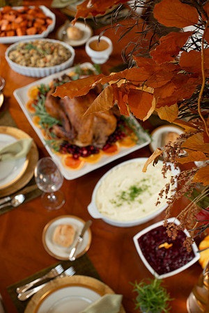 Thanksgiving_101_BACKUPS