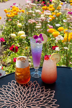 WebRes_Cocktails003