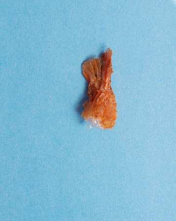 ShrimpAndChips021