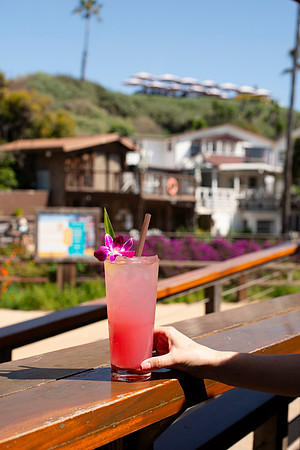 TheBeachcomber006