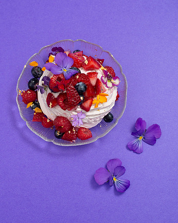 Pavlova005