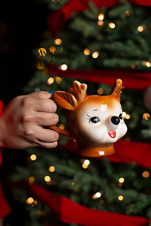 SpicedSanta002_WebRes