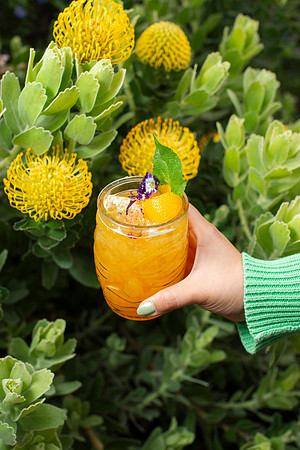 GardenPunch006