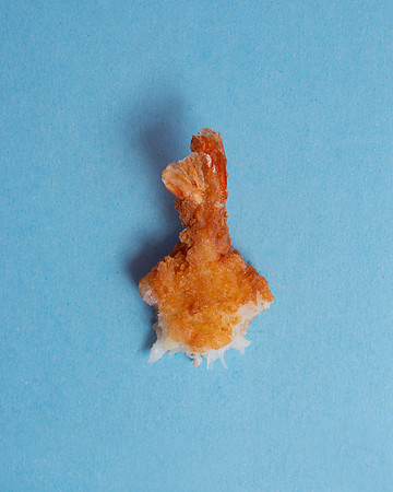 ShrimpAndChips020