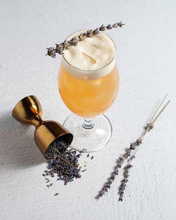 LavenderShandy