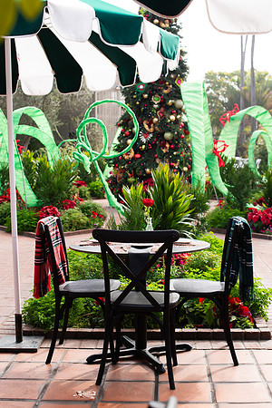 Christmas006_WebRes