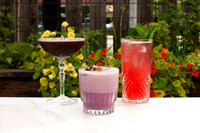 BrunchMenu_010_WebRes