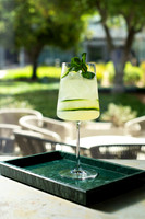 CucumberMintCooler003