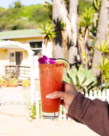 TheBeachcomber007
