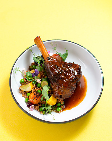 Lamb001