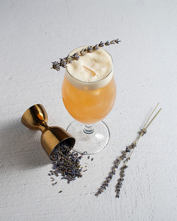 LavenderShandy008