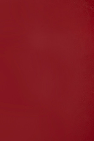 RedLeatherBackground_HighRes