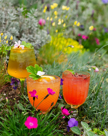 Cocktails002