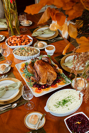 Zovs_Thanksgiving_074
