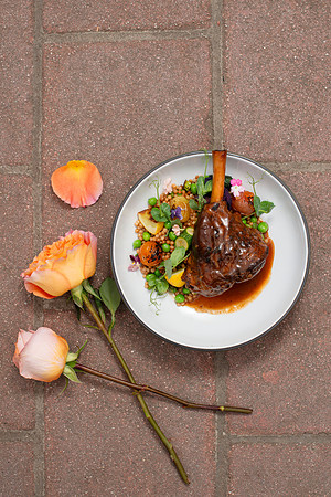 Lamb004