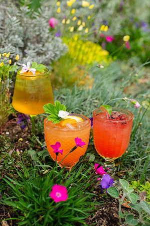 Cocktails001