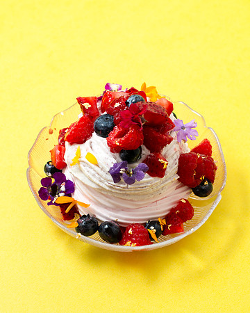 Pavlova003