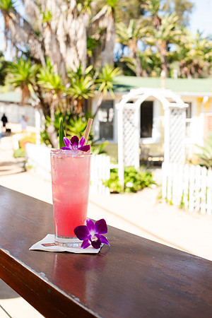 TheBeachcomber001