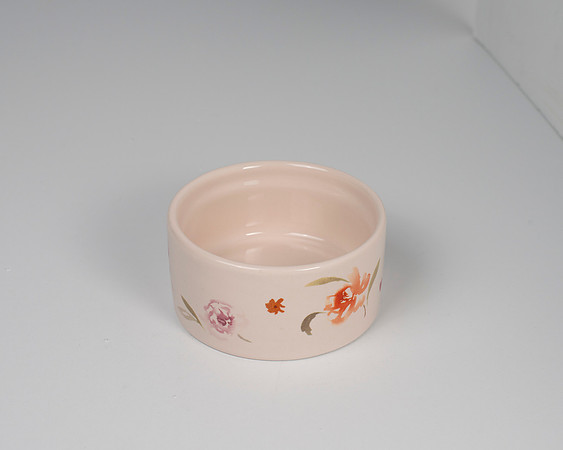 Catalogue067